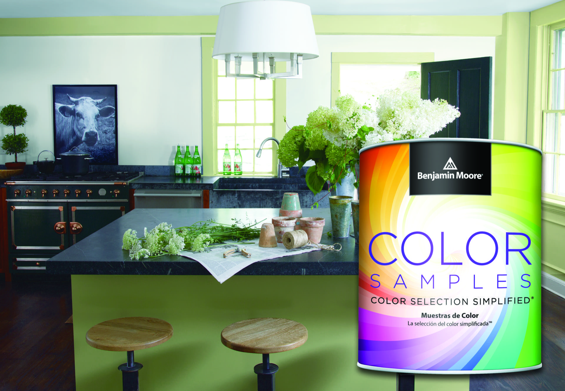 Free Paint Pint JAYK Lumber